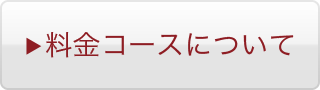 料金コースについて