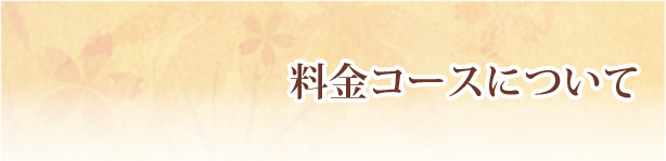 料金コースについて