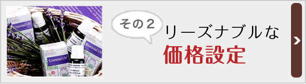 リーズナブルな 価格設定