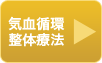 気血循環整体療法